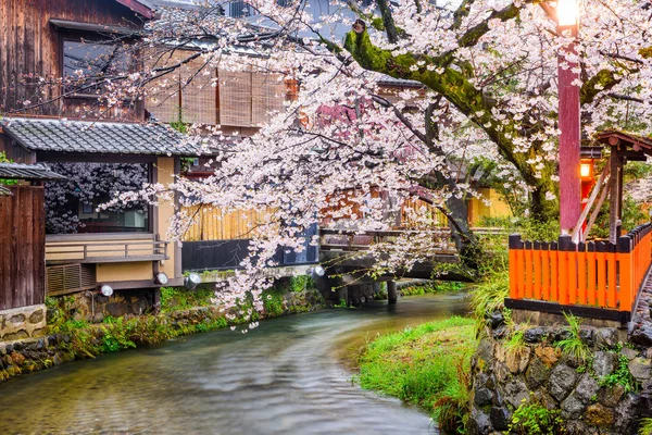 Киото Япония Вдоль Улицы Сирава Дори Весенний Сезон Стоковое Изображение