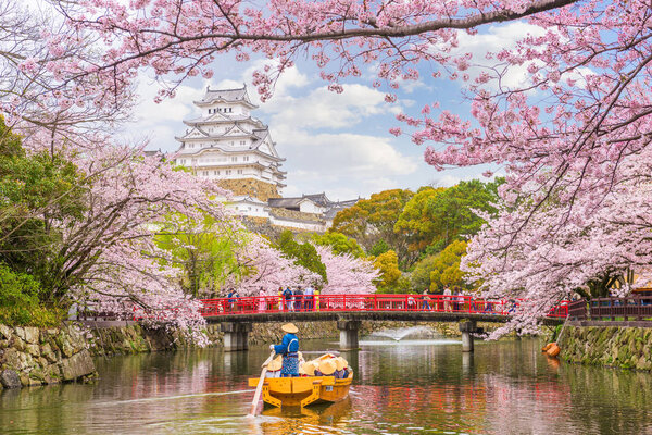 Himeji Japan Himeji Castle Spring Season Stock Image