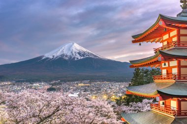 Fujiyoshida, Japonya görünümü pagoda kiraz çiçekleri ile bahar sezonu alacakaranlıkta ve Mt. Fuji.