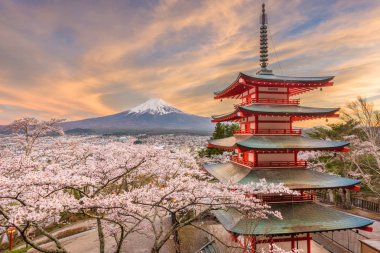 Fujiyoshida, Japan view of Mt. Fuji and pagoda in spring season with cherry blossoms at dusk. clipart
