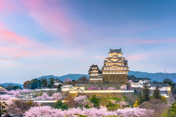 Himeji Japonsko Hradě Himedži Sezóně Jaro Třešňový Květ — Stock fotografie