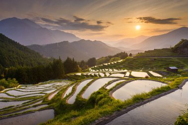 Pirinç terasları batımında Maruyama-senmaida, Kumano, Japonya.