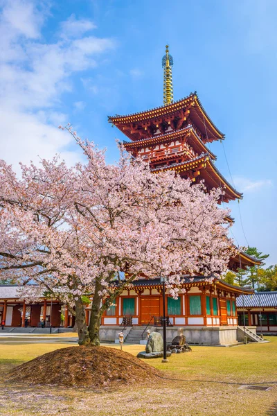 Nara Japón Pagoda Del Templo Yakushi — Foto de Stock