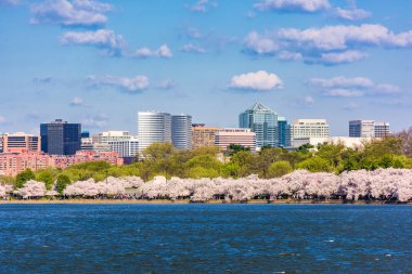 Washington Dc, Rossyln iş bölgesi manzarası içinde belgili tanımlık geçmiş ile deprem Havzası bahar sezonu ABD.
