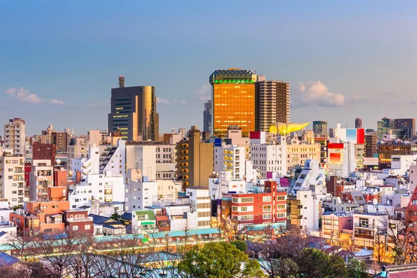 Panoramę Miasta Tokio Sumida Ward Zmierzchu — Zdjęcie stockowe