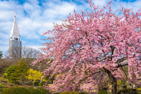 Shinjuku Japão Jardins Estação Primavera — Fotografia de Stock