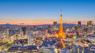 Tokyo, Japonya cityscape panorama ve uzaktan ufukta Mt. Fuji peaking ile gün batımında Kulesi.