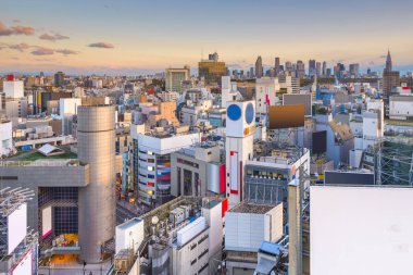 Alacakaranlıkta Shibuya Ward üzerinde Tokyo, Japonya şehir manzarası.