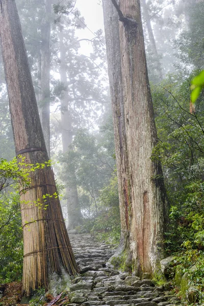 熊野高堂踪迹 Nachi 日本和歌山县 在神圣的踪迹 — 图库照片