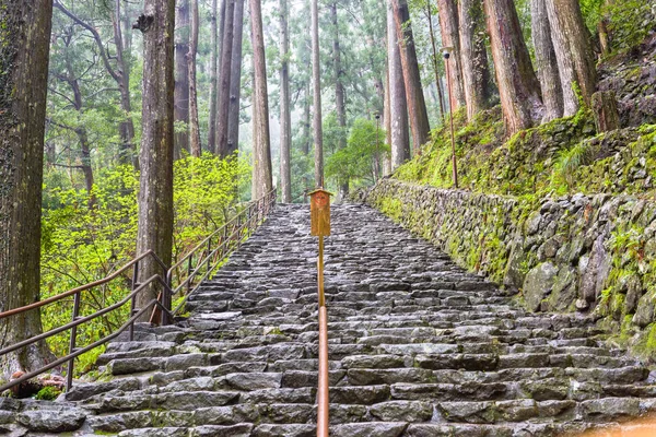 Kumano Kodo Trail Szent Nyomvonal Nachi Wakayama Japán — Stock Fotó