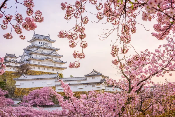 Himeji Japón Castillo Himeji Durante Temporada Flores Cerezo Primavera — Foto de Stock