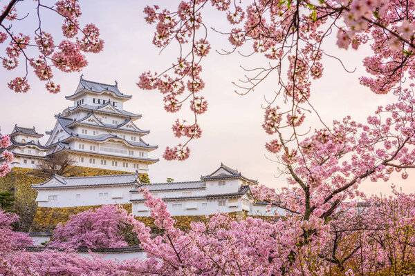 Himeji, Japan at Himeji Castle during spring cherry blossom season. 