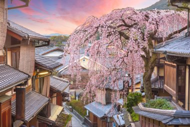Kyoto, Japonya kiraz çiçekleri ile Higashiyama bölgesinde bahar.