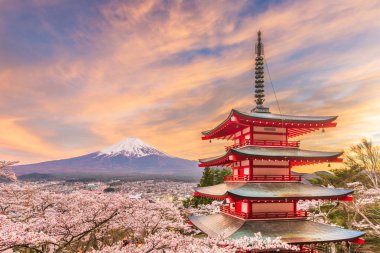 Fujiyoshida, Japonya görünümü pagoda kiraz çiçekleri ile bahar sezonu alacakaranlıkta ve Mt. Fuji. 