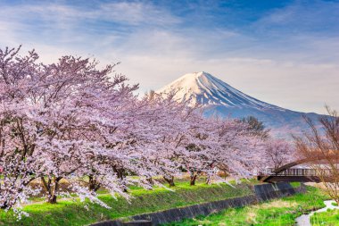 Mt. fuji Japonya bahar Kawaguchi kıyı Gölü. 