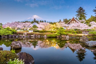 Fujinomiya, SHIZUOKA, Japonya Mt. Fuji ve tapınaklar bahar sezonu ile. 