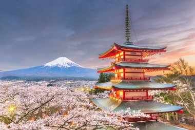 Fujiyoshida, Japonya görünümü pagoda kiraz çiçekleri ile bahar sezonu alacakaranlıkta ve Mt. Fuji. 