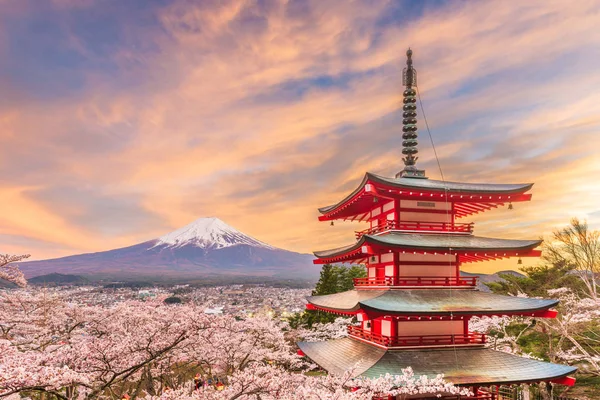 Fujiyoshida Japan View Fuji Pagoda Spring Season Cherry Blossoms Dusk — Stock Photo, Image