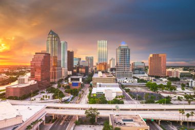 Tampa, Florida, ABD Hava şehir manzarası alacakaranlıkta.