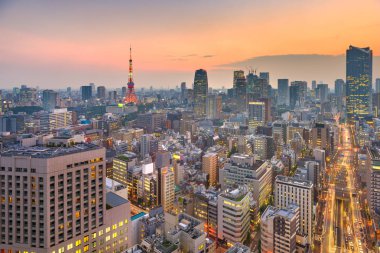 Tokyo, Japonya cityscape ve güneş battıktan sonra kule.