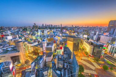 Tokyo, Japonya şehir manzarası Shibuya Ward Shinjuku Wa ile üzerinde