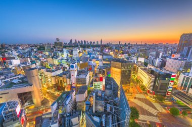 Tokyo, Japan city skyline over Shibuya Ward with the Shinjuku Wa clipart