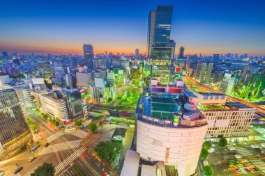 Tokyo, Japonya şehir manzarası Shibuya Ward Shinjuku Wa ile üzerinde
