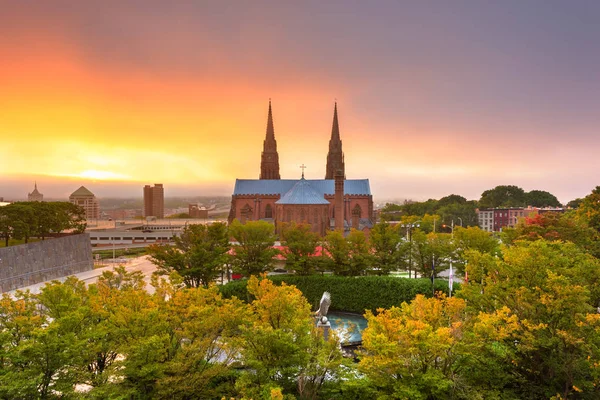 Kathedrale der unbefleckten Empfängnis — Stockfoto