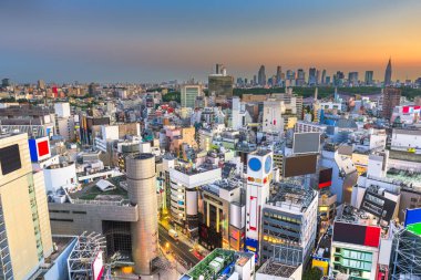 Tokyo, Japonya şehir manzarası Shibuya Ward Shinjuku Wa ile üzerinde