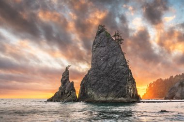 Olimpik Milli Parkı, Washington, ABD'deki Rialto Beach. 