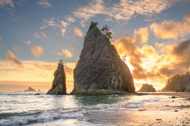 Olimpik Milli Parkı, Washington, ABD'deki Rialto Beach. 