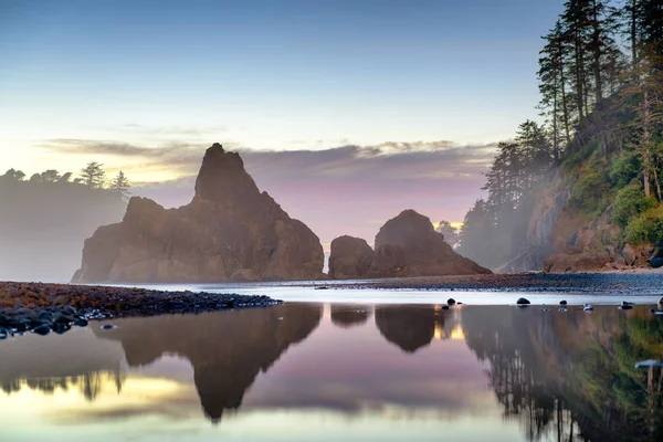 Olimpik Milli Parkı Washington Abd Deki Rialto Beach — Stok fotoğraf