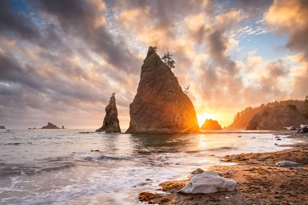 Olimpik Milli Parkı Washington Abd Deki Rialto Beach — Stok fotoğraf