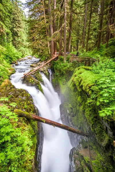 Olympic National Park — Stock Photo, Image