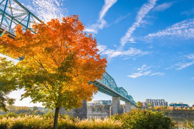 Chattanooga, Tennessee, ABD sonbahar sezonu