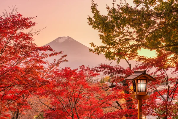 Mt. Fuji, Japan met herfst loof — Stockfoto