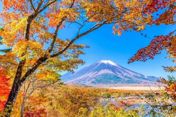 Mt. Fuji, Japan met herfst loof — Stockfoto