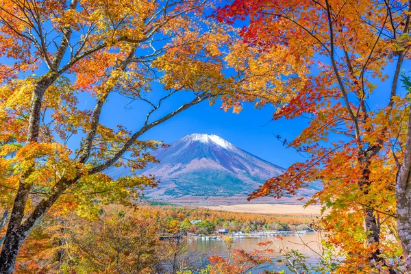 Гора. Фудзи, Япония с осенним ликованием — стоковое фото