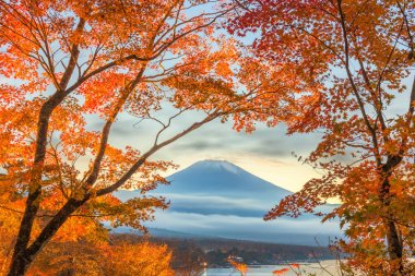 Mt. Fuji, Japonya sonbahar yaprakları ile