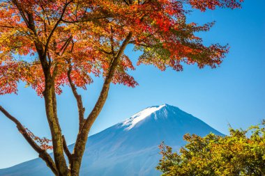 Sonbahar yeşillik ile Fuji Dağı