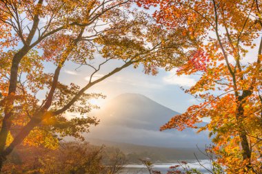 Mt. Fuji, Japonya sonbahar yaprakları ile