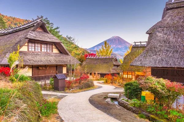 Dorf und mt. fuji — Stockfoto