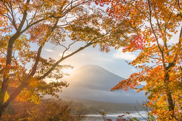 MT. Fuji, Japonsko s Padím listoví — Stock fotografie