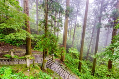 yamagata, yamadera dağ Tapınağı Trail yürüyüş Japonya.