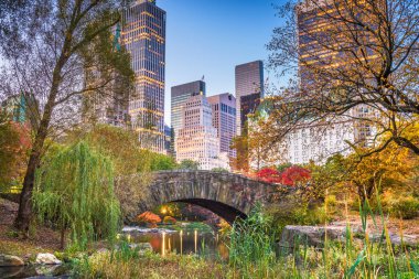 Central Park, New York şehir sonbahar