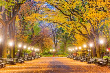 Central Park New York şehir sonbahar
