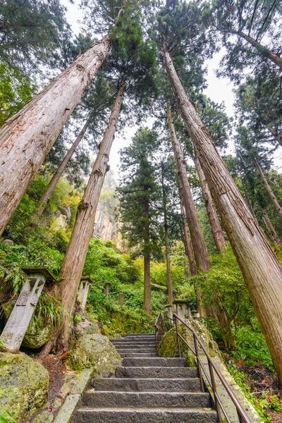 Πόδια Από Μονοπάτι Yamadera Ναός Βουνών Στην Γιαμαγκάτα Ιαπωνία — Φωτογραφία Αρχείου