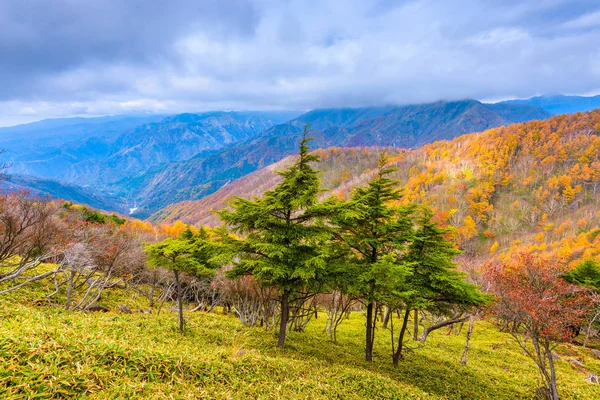 Пейзаж в национальном парке Никко в Тотиги, Япония . — стоковое фото
