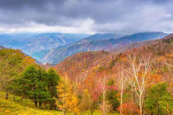 Krajobraz w parku narodowym Nikko w Tochigi, Japonia. — Zdjęcie stockowe