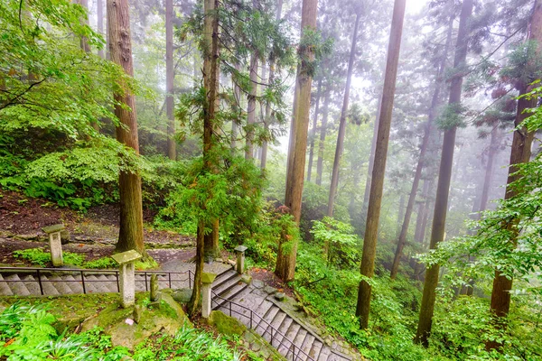 Caminhando Trilha Para Yamadera Mountain Temple Yamagata Japão — Fotografia de Stock